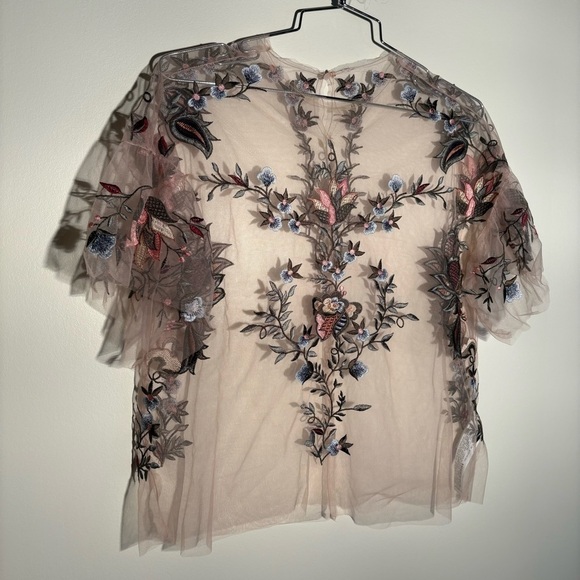 Zara Sheer Tulle Emroidered Blouse - Picture 4 of 14